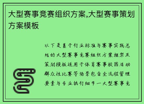 大型赛事竞赛组织方案,大型赛事策划方案模板